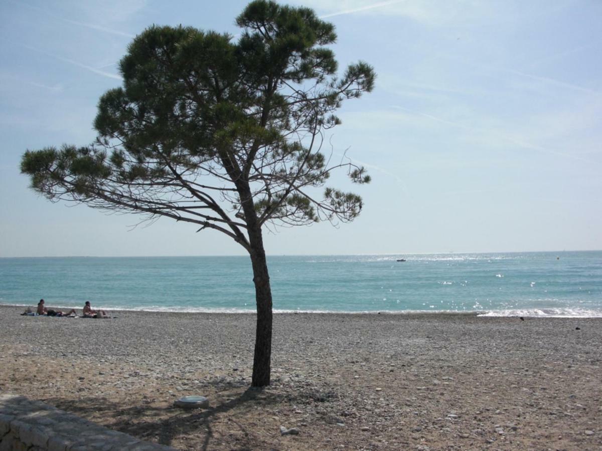 Agreable Appartement 4 Personnes A Villeneuve-Loubet Plage, Piscine, Mer, Commerces A Proximite エクステリア 写真